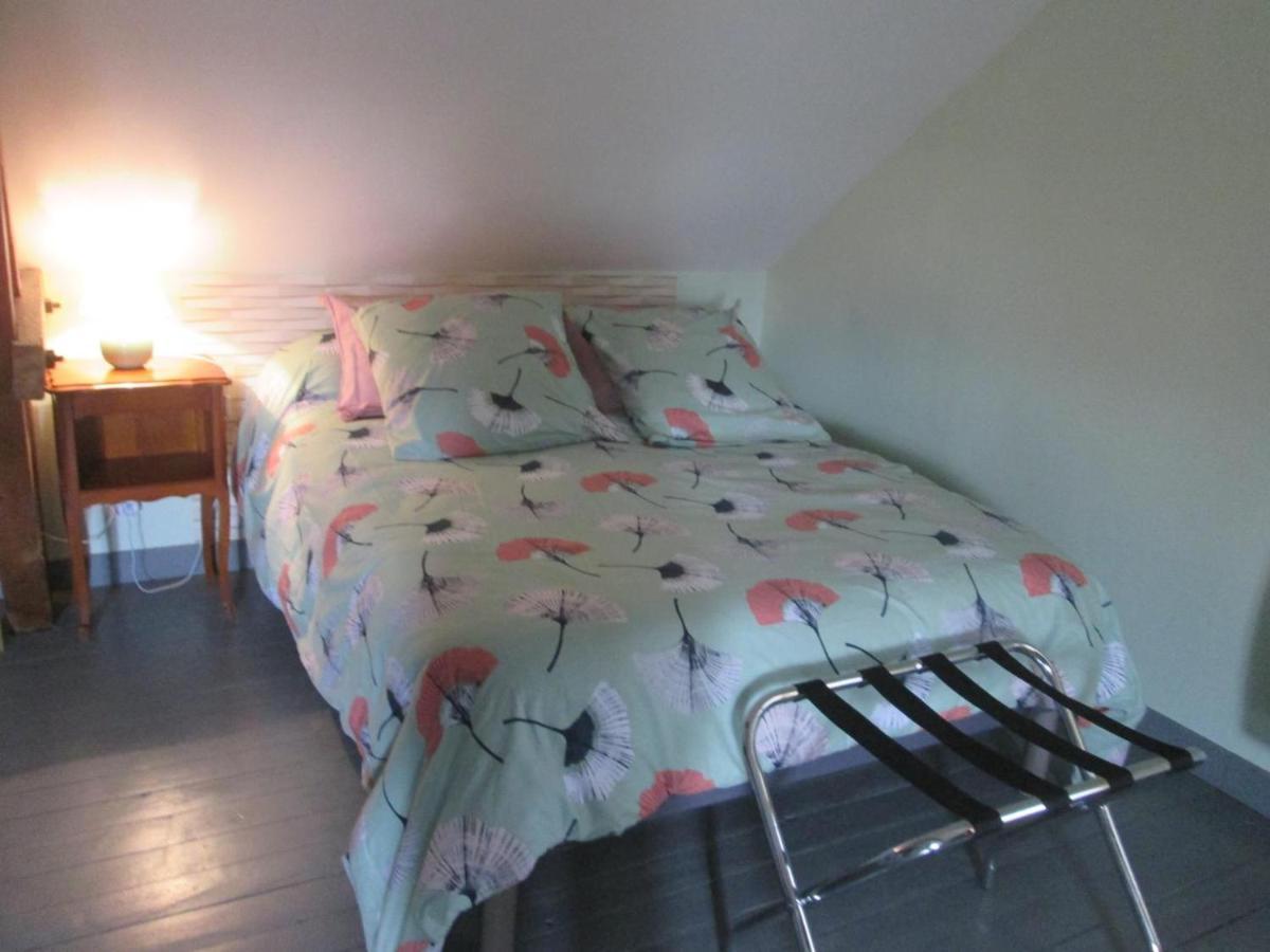Gite Tout Confort A Molinet, Climatise, Avec Cour Close Et Proche De La Voie Verte ! - Fr-1-489-253 외부 사진